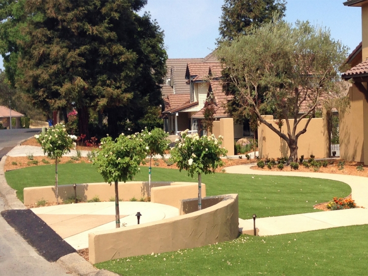 Faux Grass Coronado, California Garden Ideas, Front Yard Design