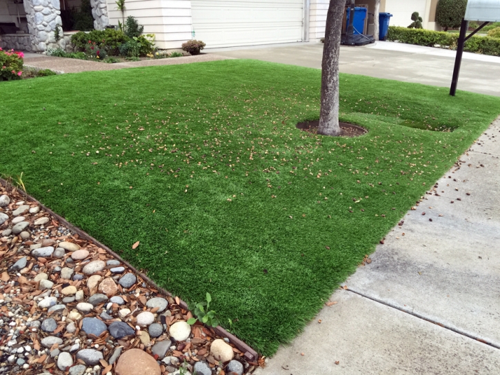 Faux Grass Eucalyptus Hills, California Lawns, Front Yard Landscape Ideas