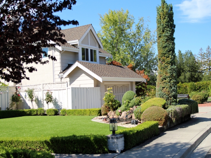 Faux Grass Mount Laguna, California Design Ideas, Front Yard Design