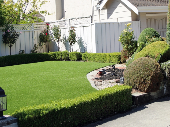 Faux Grass Santee, California Landscape Ideas, Front Yard Ideas