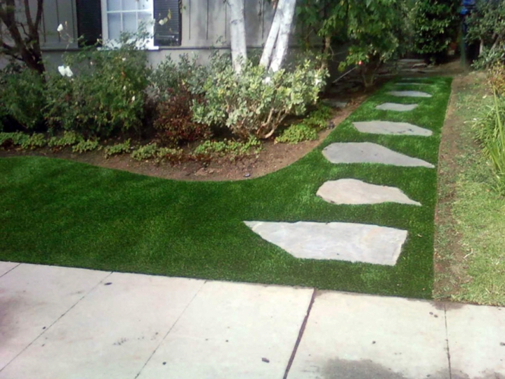 Grass Carpet Chula Vista, California Landscape Design, Front Yard Landscape Ideas