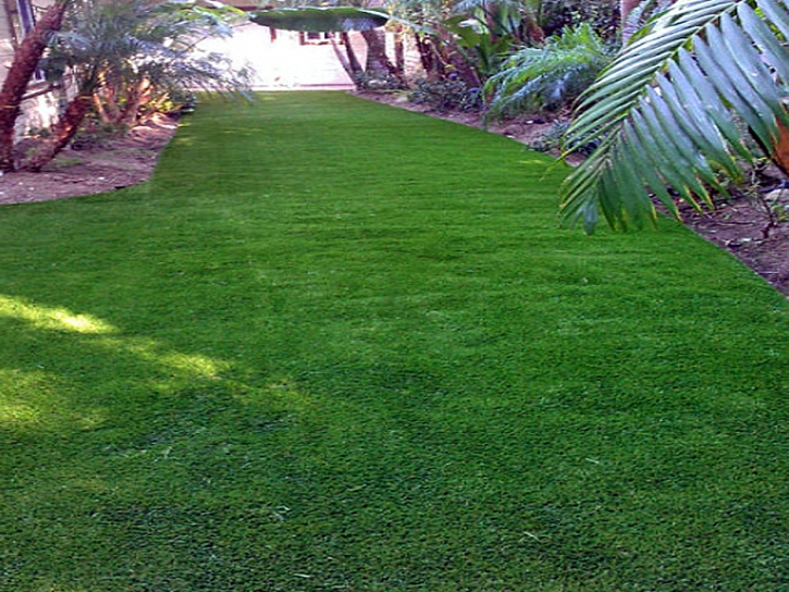 Grass Carpet El Cajon, California City Landscape, Backyard Ideas