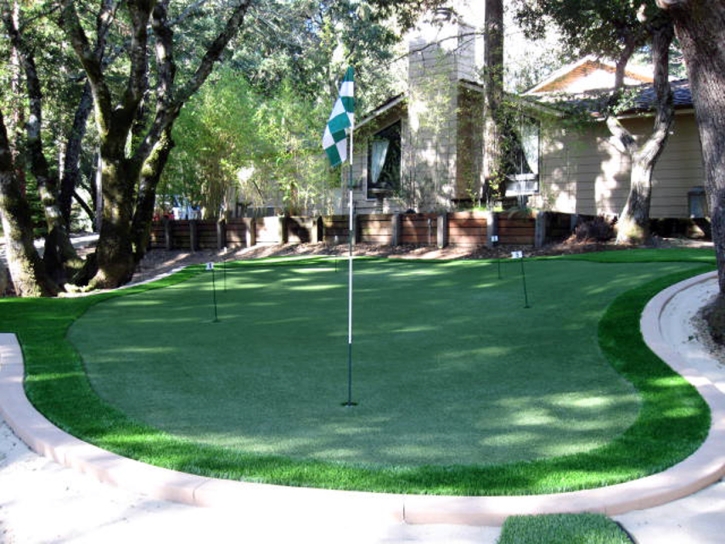 Grass Carpet Escondido, California Office Putting Green, Backyard Landscape Ideas