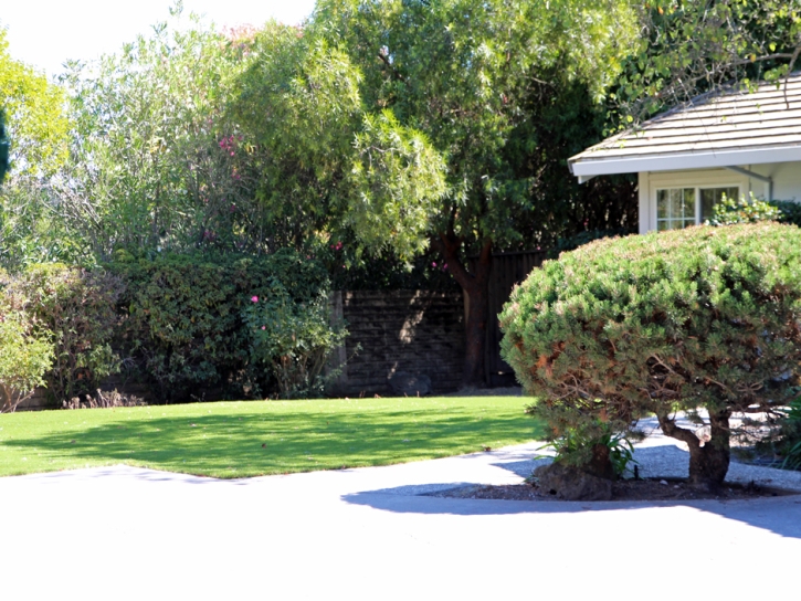 Grass Carpet Granite Hills, California Lawn And Garden, Front Yard Design