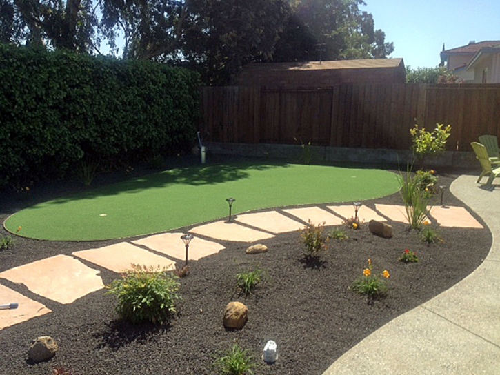 Grass Carpet Jamul, California Putting Green Carpet, Backyard Designs