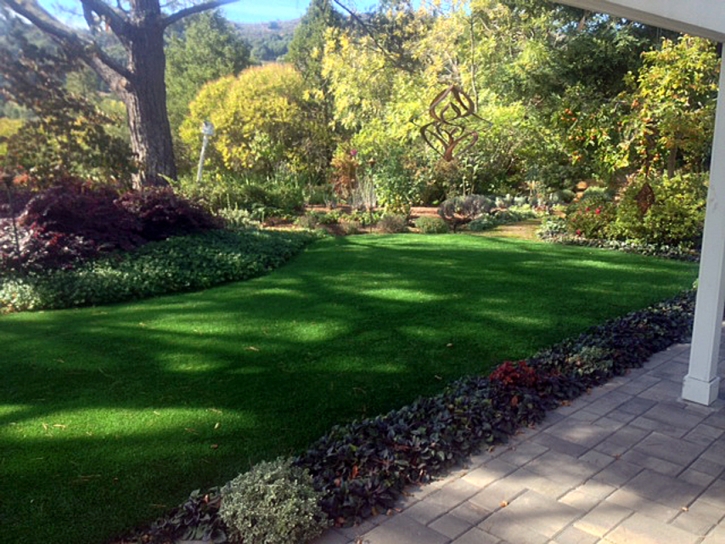 Grass Carpet La Mesa, California Landscape Design, Beautiful Backyards