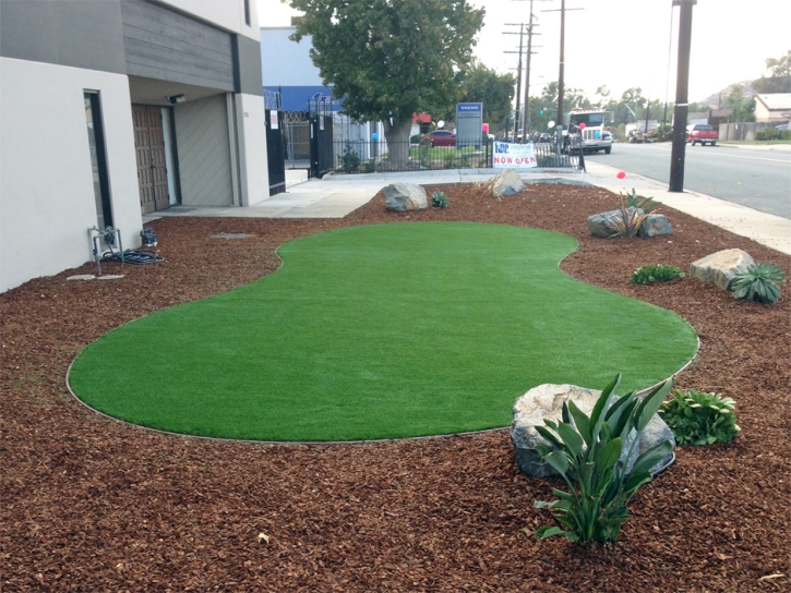 Grass Carpet La Presa, California Lawn And Landscape, Commercial Landscape