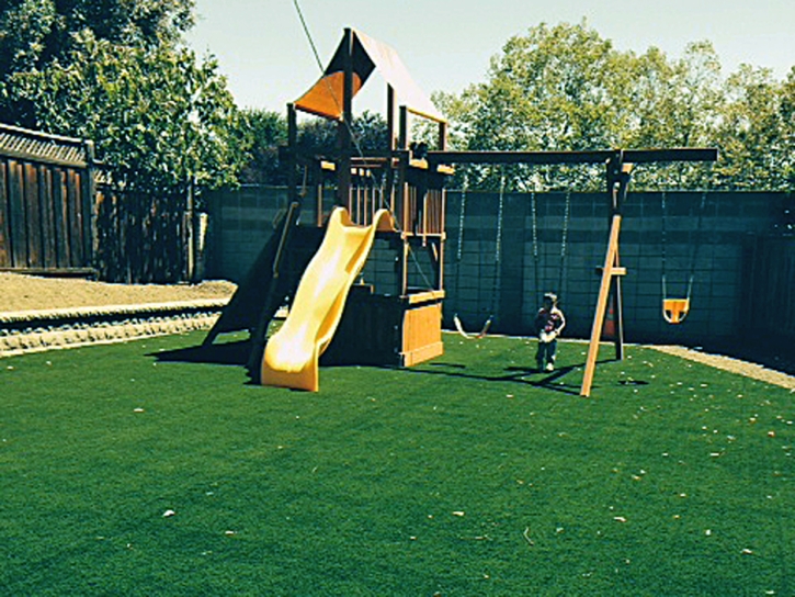 Grass Carpet Oceanside, California Lawn And Garden, Backyard Landscaping