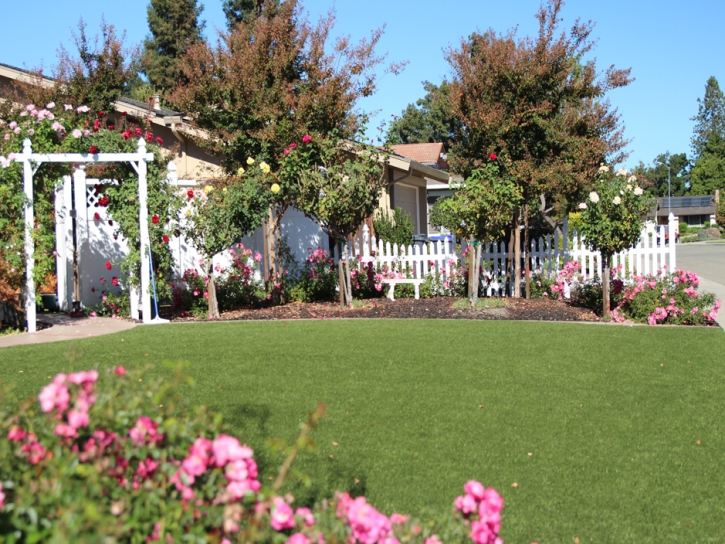 Grass Carpet Pine Valley, California Home And Garden, Front Yard Design