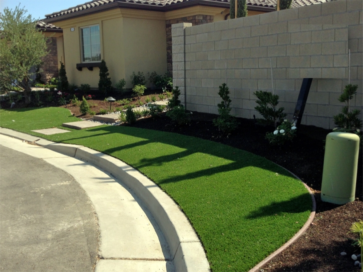 Grass Carpet Santee, California Roof Top, Landscaping Ideas For Front Yard