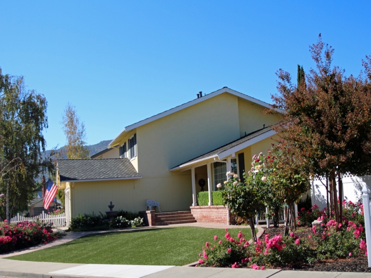 Grass Carpet Solana Beach, California Design Ideas, Front Yard Ideas