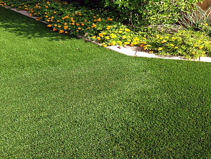 Grass Installation Bonita, California Design Ideas, Small Front Yard Landscaping