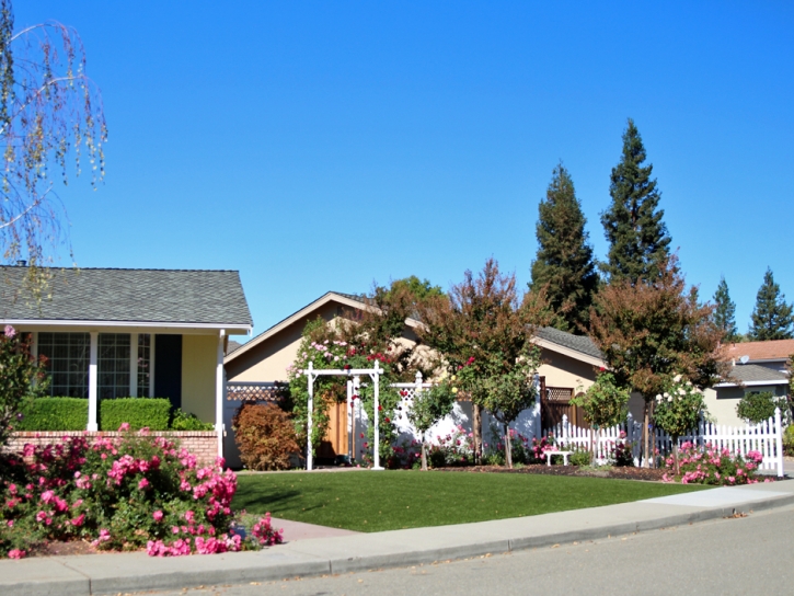 Grass Installation Descanso, California Garden Ideas, Front Yard Landscape Ideas