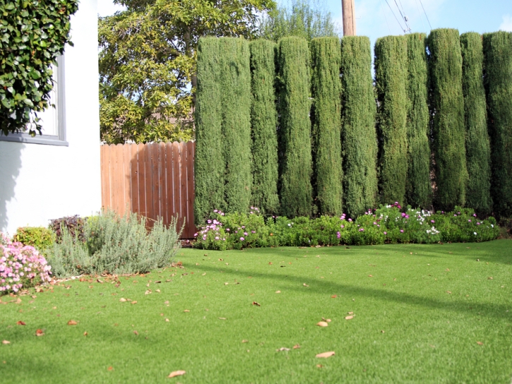 Grass Turf Alpine, California Roof Top, Front Yard Landscaping Ideas