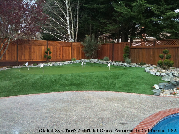 Grass Turf Bostonia, California Landscaping, Small Backyard Ideas