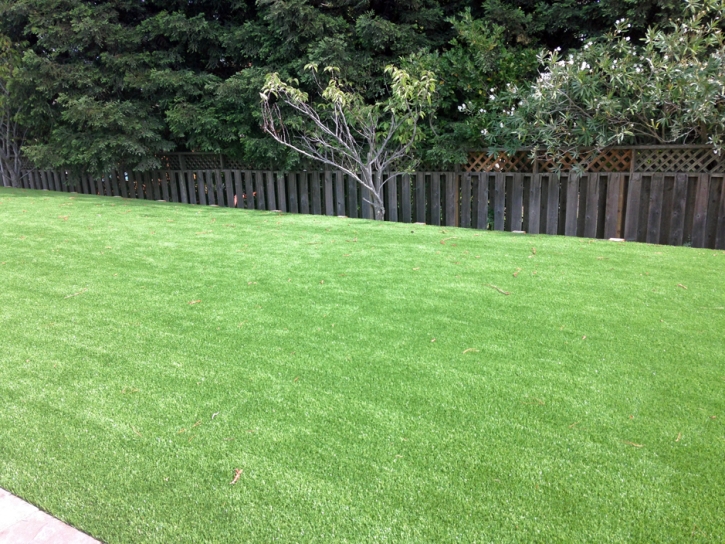 Grass Turf Campo, California Lawns, Backyard Design