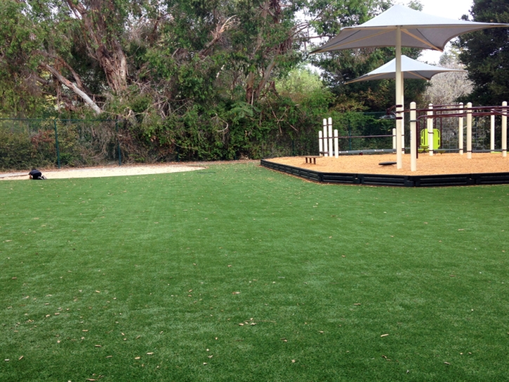 Grass Turf Granite Hills, California Lacrosse Playground