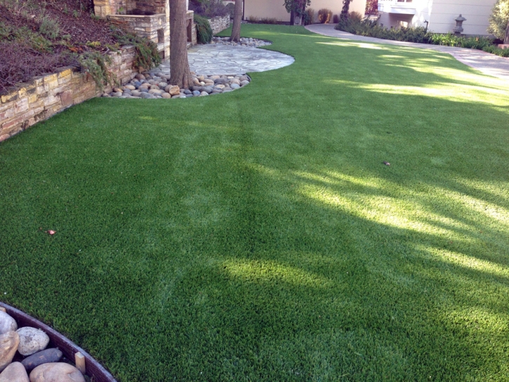 Grass Turf Lake San Marcos, California Hotel For Dogs, Backyard Makeover