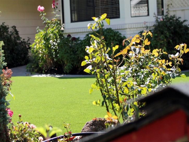 Grass Turf National City, California Rooftop, Small Front Yard Landscaping