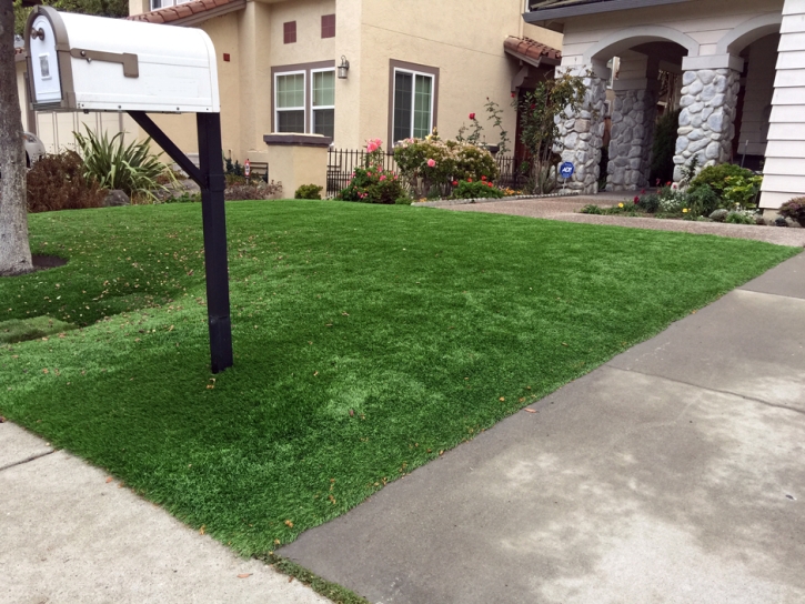 Grass Turf Oceanside, California Lawn And Landscape, Front Yard Landscape Ideas