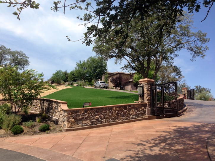 Grass Turf Rancho Santa Fe, California Backyard Playground, Front Yard Design