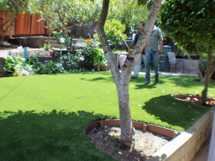 Green Lawn Alpine, California Home And Garden, Backyard Garden Ideas