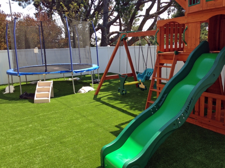 Green Lawn Boulevard, California City Landscape, Backyards