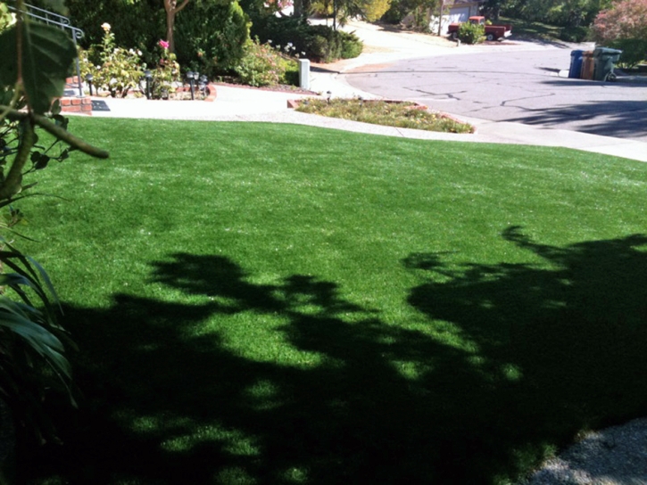 Green Lawn Eucalyptus Hills, California City Landscape, Small Front Yard Landscaping