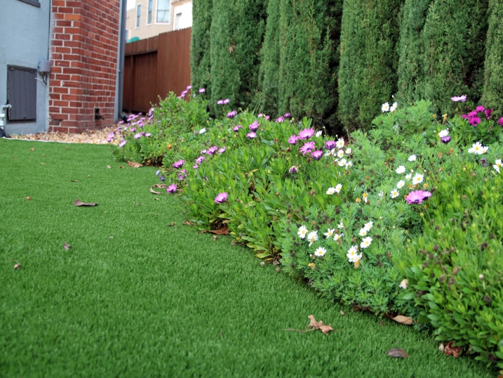 How To Install Artificial Grass Bonsall, California Rooftop, Front Yard Design