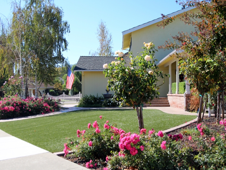 Installing Artificial Grass Borrego Springs, California Landscape Ideas, Small Front Yard Landscaping