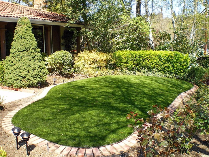 Lawn Services Encinitas, California Gardeners, Small Backyard Ideas