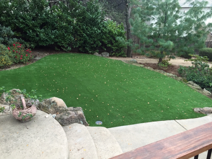 Lawn Services Eucalyptus Hills, California Landscape Rock, Backyard Makeover