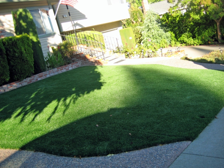 Lawn Services La Mesa, California Roof Top, Front Yard Landscape Ideas