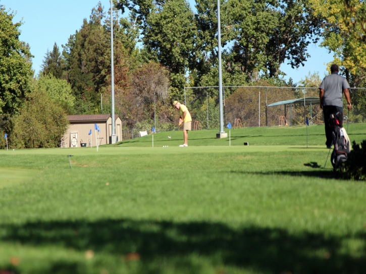 Lawn Services Oceanside, California Diy Putting Green, Commercial Landscape