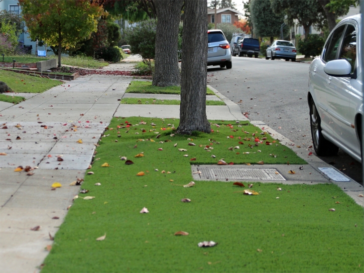 Outdoor Carpet Bonsall, California Landscape Design, Front Yard Design