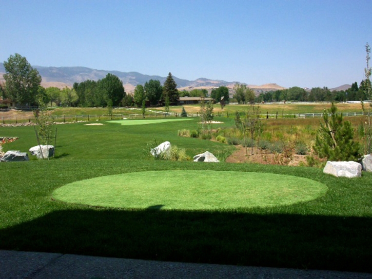 Outdoor Carpet Carlsbad, California Outdoor Putting Green, Backyard Landscaping