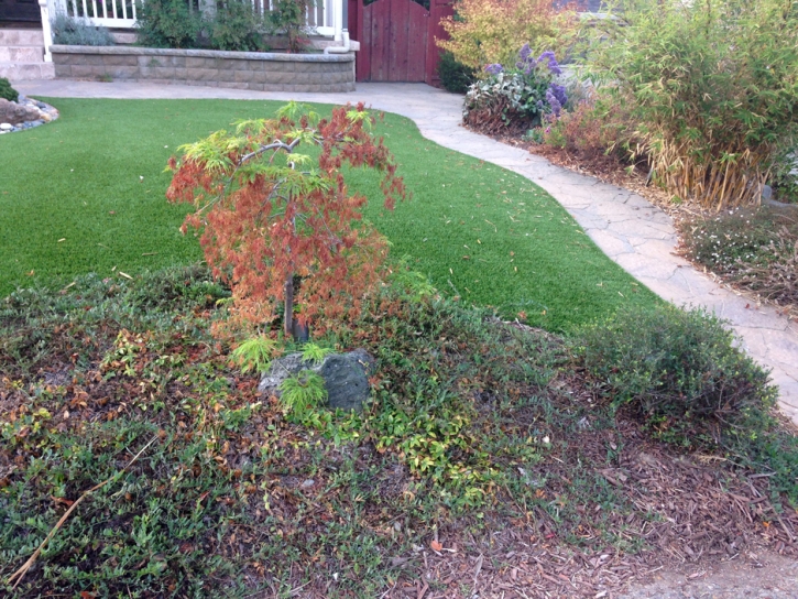 Outdoor Carpet Del Mar, California Gardeners, Front Yard Design