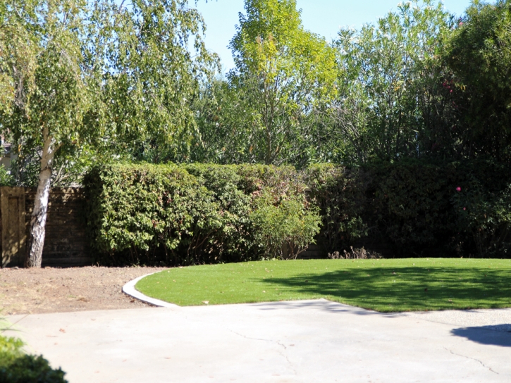 Outdoor Carpet Hidden Meadows, California Home And Garden, Beautiful Backyards