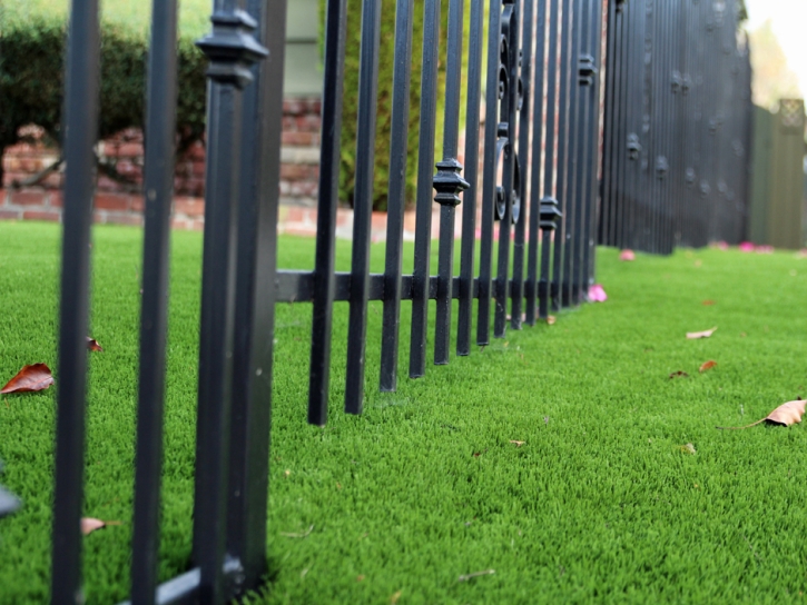 Outdoor Carpet Rancho San Diego, California Backyard Playground, Small Front Yard Landscaping