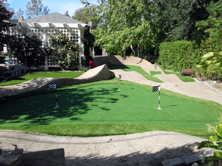 Outdoor Carpet San Pasqual, California Putting Green Grass, Backyard Designs