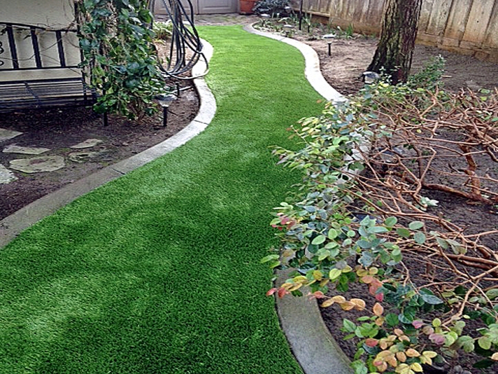 Outdoor Carpet Valley Center, California Lawn And Garden, Backyard Landscaping