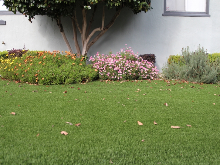 Outdoor Carpet Winter Gardens, California Landscaping, Small Front Yard Landscaping