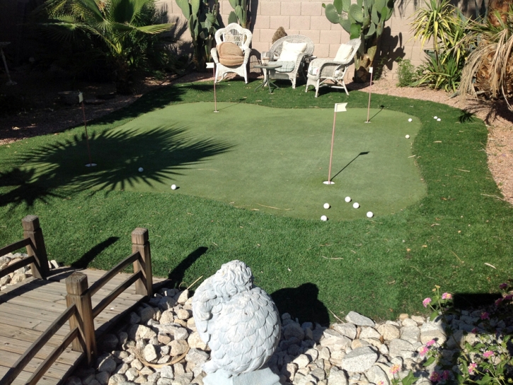 Plastic Grass Bonsall, California Putting Green, Backyard Landscape Ideas