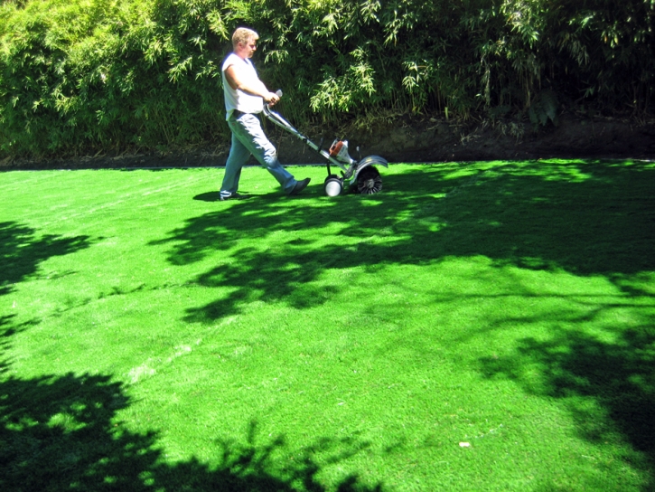 Plastic Grass Casa de Oro-Mount Helix, California City Landscape, Small Backyard Ideas