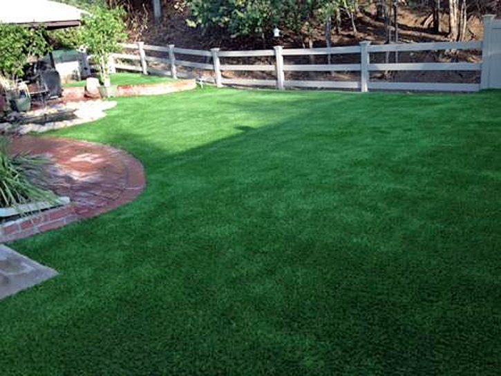 Plastic Grass Del Mar, California Hotel For Dogs, Beautiful Backyards