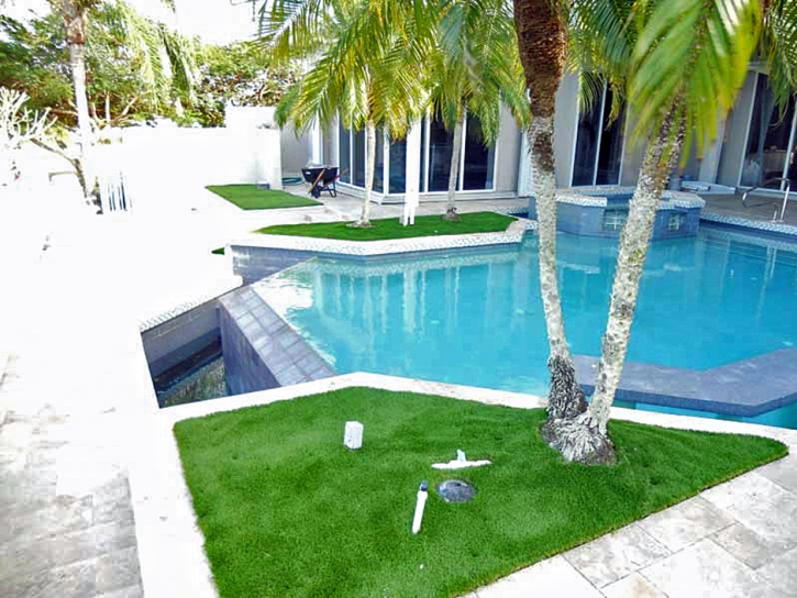 Plastic Grass Fairbanks Ranch, California Design Ideas, Backyard Design