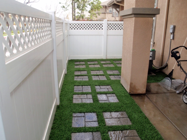 Plastic Grass Fairbanks Ranch, California Design Ideas, Beautiful Backyards