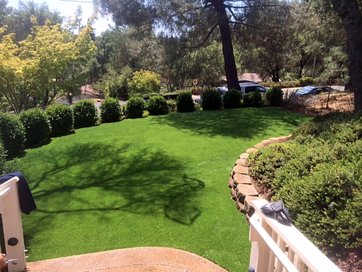 Plastic Grass Imperial Beach, California Landscape Design, Backyard Ideas