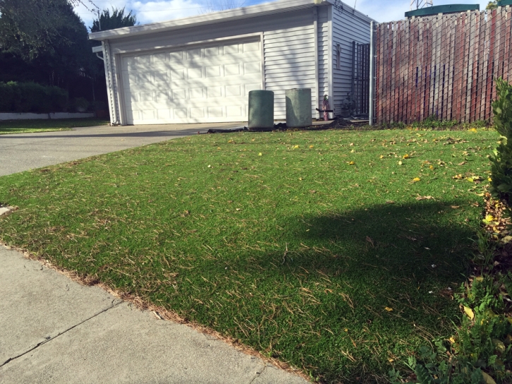 Plastic Grass Vista, California Backyard Playground, Small Front Yard Landscaping