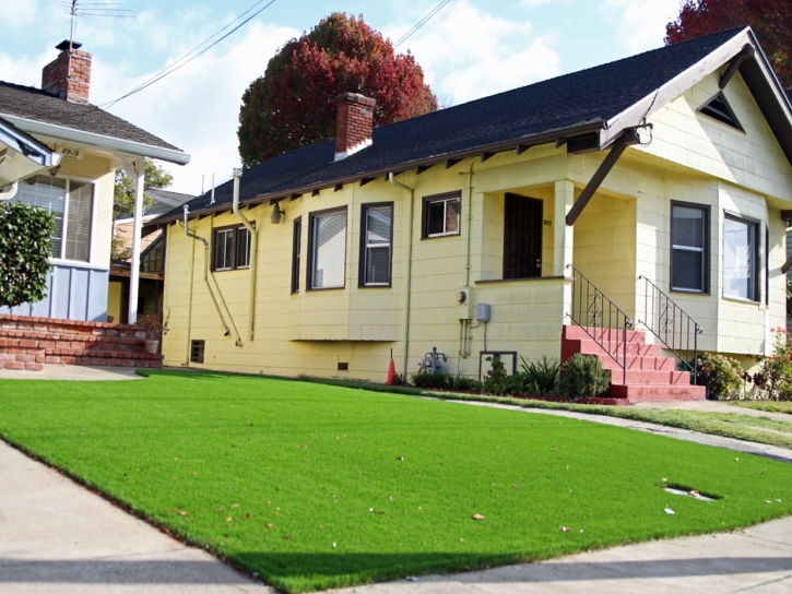 Synthetic Grass Bonita, California Garden Ideas, Front Yard Design